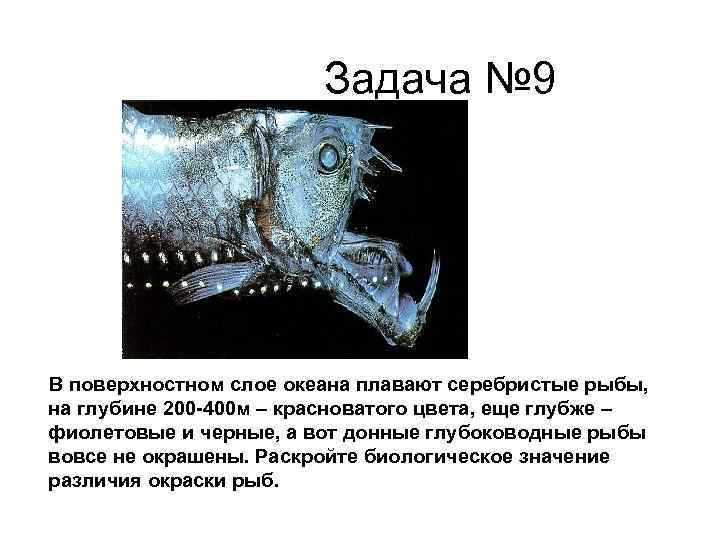 Задача № 9 В поверхностном слое океана плавают серебристые рыбы, на глубине 200 -400