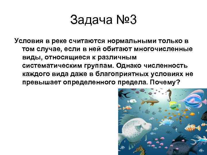 Задача № 3 Условия в реке считаются нормальными только в том случае, если в