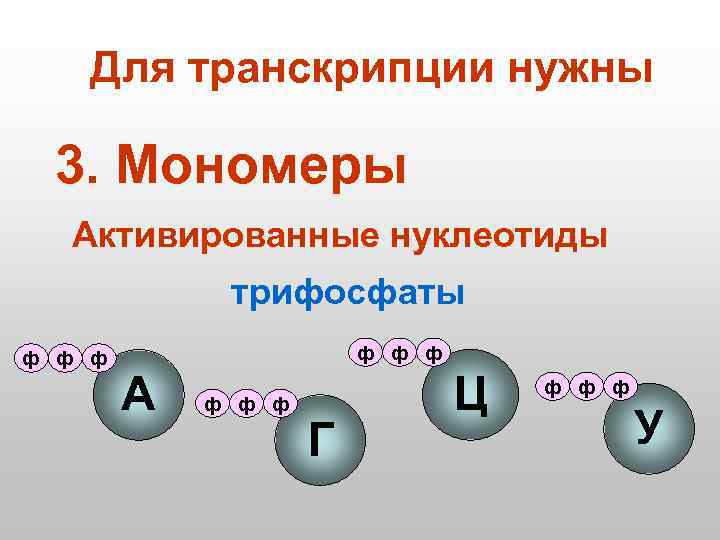 Для транскрипции нужны 3. Мономеры Активированные нуклеотиды трифосфаты ф ф ф А ф ф