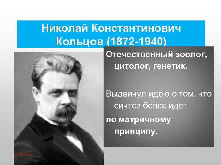 Николай Константинович Кольцов (1872 -1940) Отечественный зоолог, цитолог, генетик. Выдвинул идею о том, что