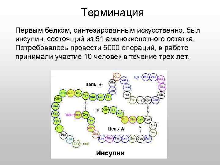 Необходимые для синтеза белка аминокислоты. Схема искусственного синтеза белков. Молекула инсулина. Аминокислотные остатки в ДНК. Структура аминокислотной цепи.