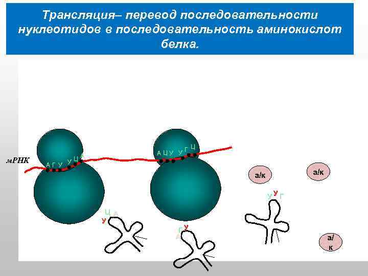 Передача днк телефон как свезаца