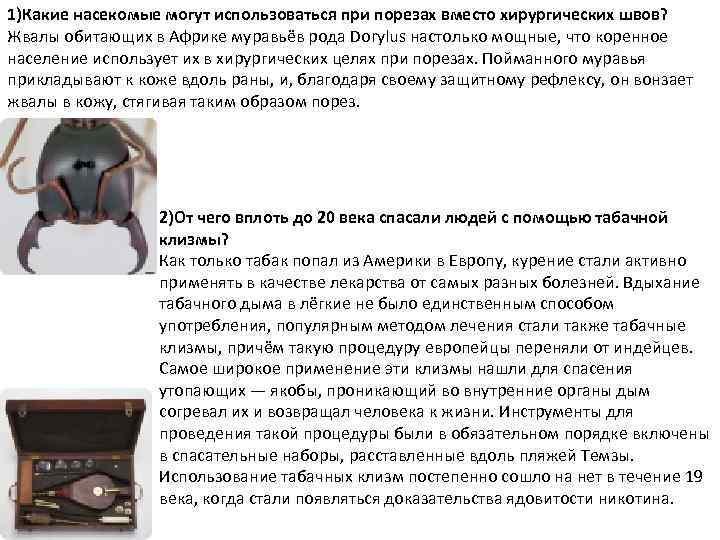 1)Какие насекомые могут использоваться при порезах вместо хирургических швов? Жвалы обитающих в Африке муравьёв