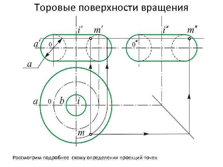 Торовые поверхности вращения Рассмотрим подробнее схему определения проекций точек 