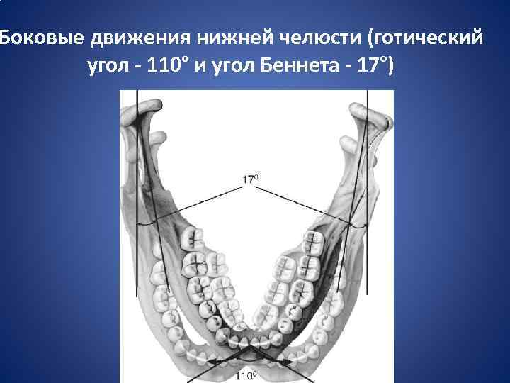 Боковые движения нижней челюсти (готический угол - 110° и угол Беннета - 17°) 