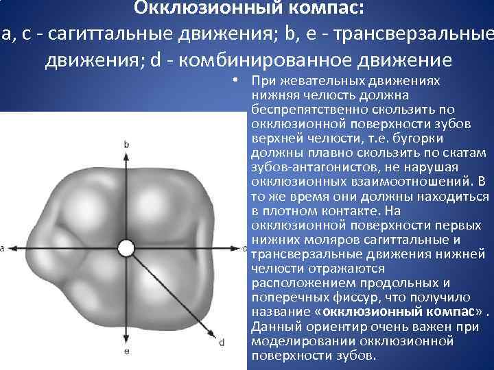 Окклюзионный компас: а, с - сагиттальные движения; b, е - трансверзальные движения; d -