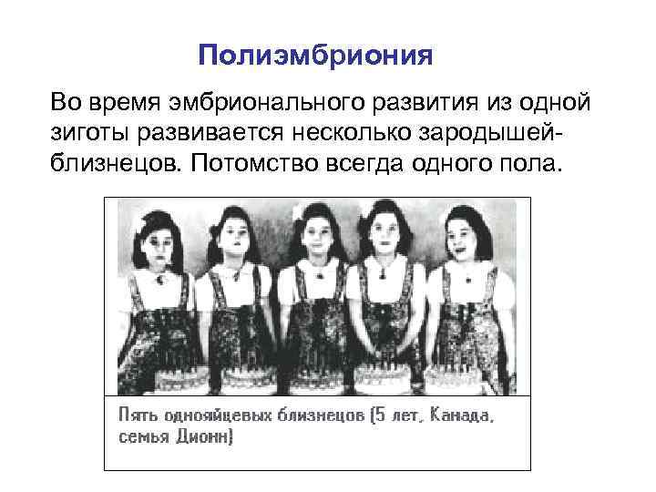 Полиэмбриония Во время эмбрионального развития из одной зиготы развивается несколько зародышейблизнецов. Потомство всегда одного