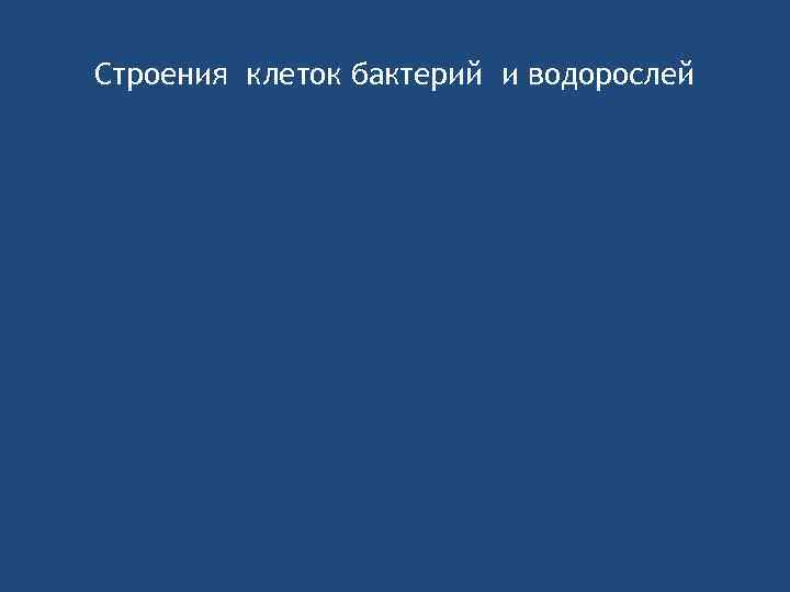 Строения клеток бактерий и водорослей 