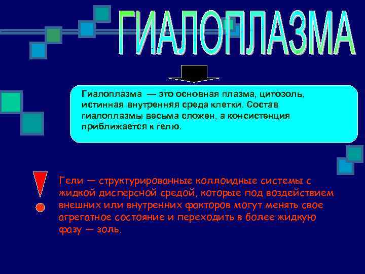 Гиалоплазма — это основная плазма, цитозоль, истинная внутренняя среда клетки. Состав гиалоплазмы весьма сложен,