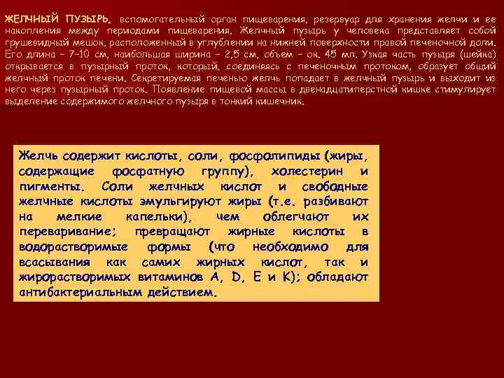 ЖЕЛЧНЫЙ ПУЗЫРЬ, вспомогательный орган пищеварения, резервуар для хранения желчи и ее накопления между периодами