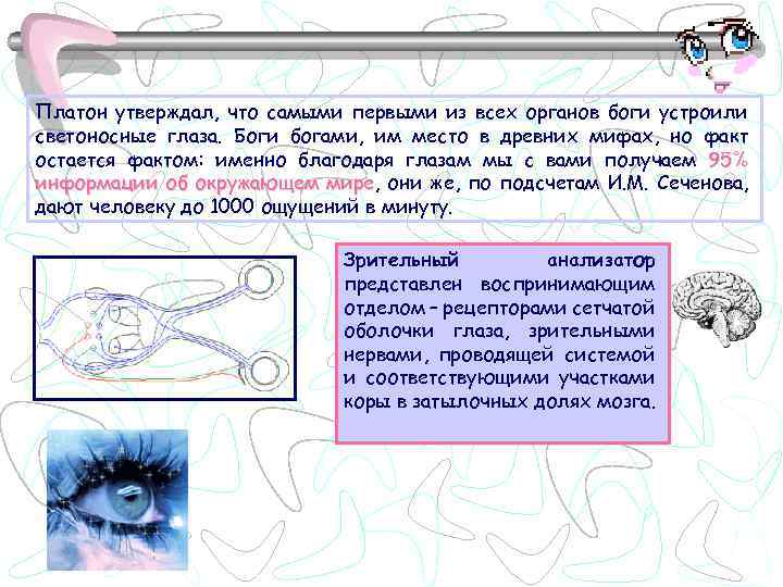 Платон утверждал, что самыми первыми из всех органов боги устроили светоносные глаза. Боги богами,