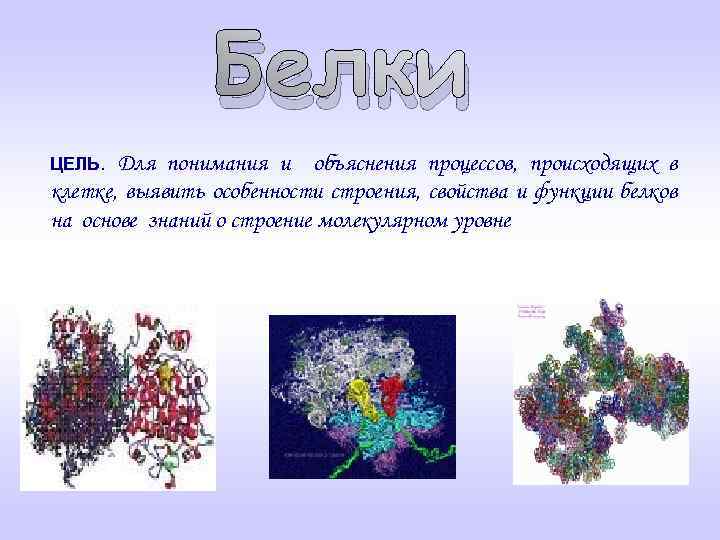 Белки Для понимания и объяснения процессов, происходящих в клетке, выявить особенности строения, свойства и