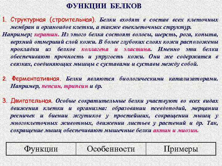ФУНКЦИИ БЕЛКОВ 1. Структурная (строительная). Белки входят в состав всех клеточных мембран и органоидов
