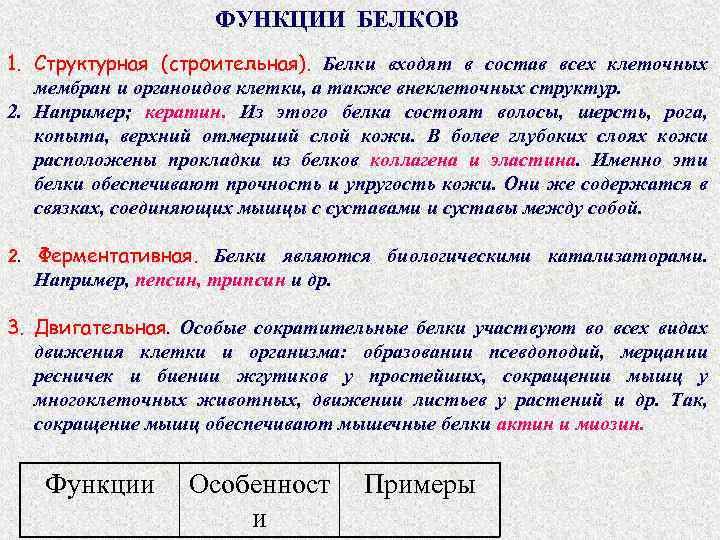 ФУНКЦИИ БЕЛКОВ 1. Структурная (строительная). Белки входят в состав всех клеточных мембран и органоидов