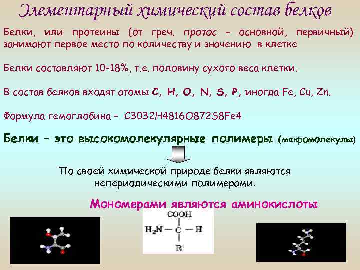 Элементарный химический состав белков Белки, или протеины (от греч. протос – основной, первичный) занимают