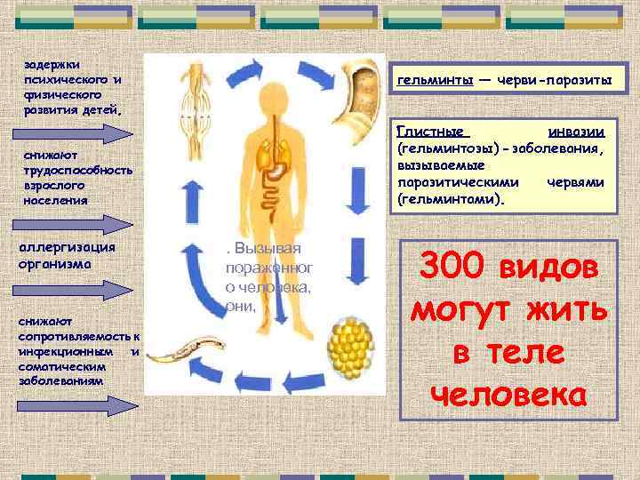 задержки психического и физического развития детей, гельминты — черви-паразиты Глистные инвазии (гельминтозы) - заболевания,