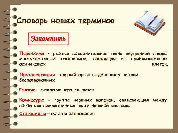 Словарь новых терминов Запомнить Паренхима – рыхлая соединительная ткань внутренней среды многоклеточных организмов, состоящая