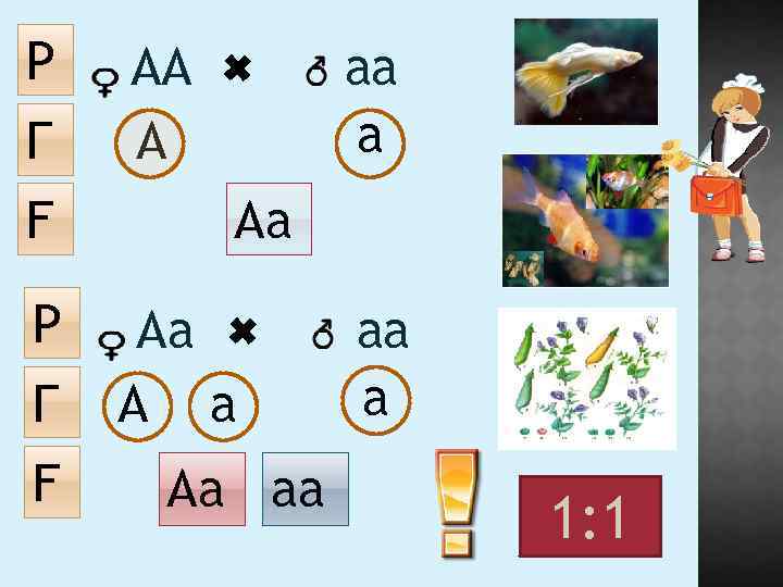 Г F аа а Аа Аа А а Р АА А Р Аа аа