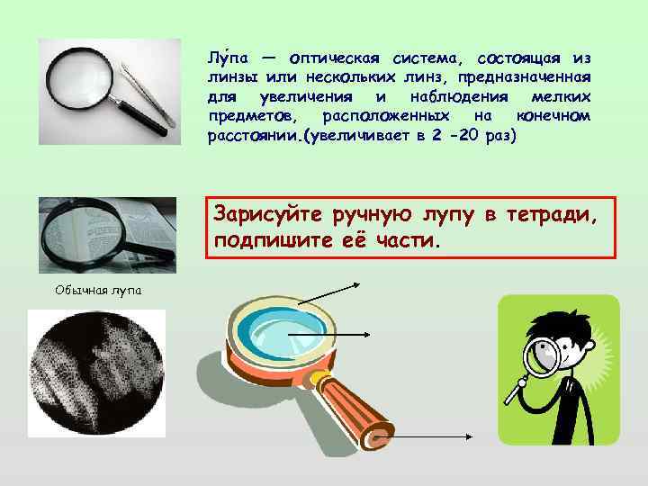 Лу па — оптическая система, состоящая из линзы или нескольких линз, предназначенная для увеличения