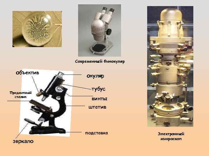 Современный бинокуляр объектив Предметный столик окуляр тубус винты штатив подставка зеркало Электронный микроскоп 
