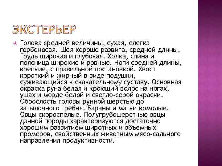  Голова средней величины, сухая, слегка горбоносая. Шея хорошо развита, средней длины. Грудь широкая