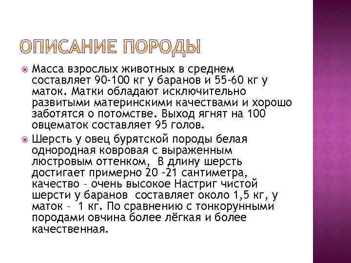 Масса взрослых животных в среднем составляет 90 -100 кг у баранов и 55 -60