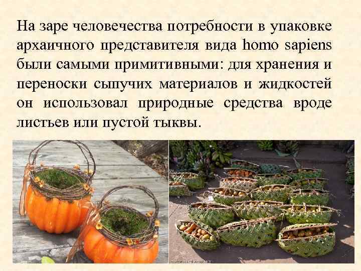 На заре человечества потребности в упаковке архаичного представителя вида homo sapiens были самыми примитивными: