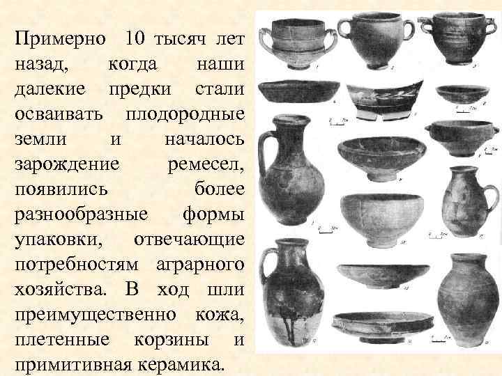 Примерно 10 тысяч лет назад, когда наши далекие предки стали осваивать плодородные земли и