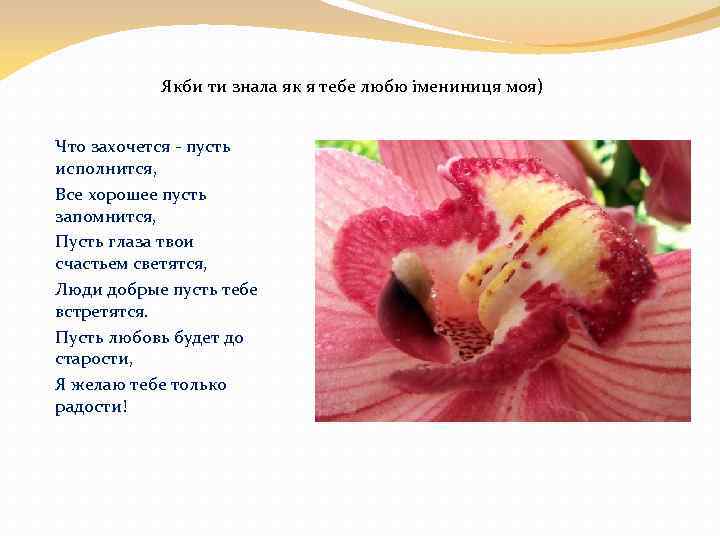 Якби ти знала як я тебе любю імениниця моя) Что захочется - пусть исполнится,
