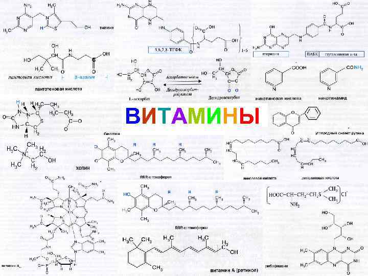 ВИТАМИНЫ 