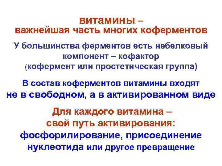 витамины – важнейшая часть многих коферментов У большинства ферментов есть небелковый компонент – кофактор