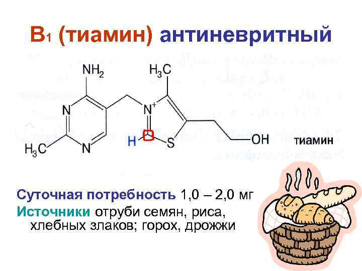 B 1 (тиамин) антиневритный Суточная потребность 1, 0 – 2, 0 мг Источники отруби
