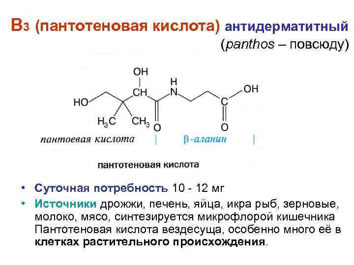 В 3 (пантотеновая кислота) антидерматитный (panthos – повсюду) • Суточная потребность 10 12 мг