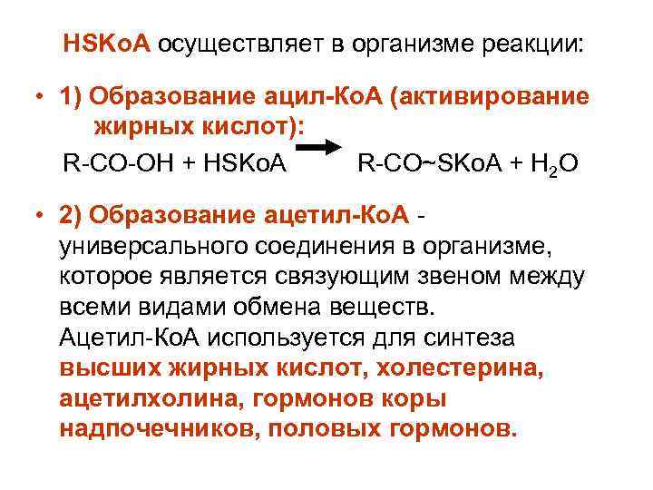 HSKo. A осуществляет в организме реакции: • 1) Образование ацил-Ко. А (активирование жирных кислот):