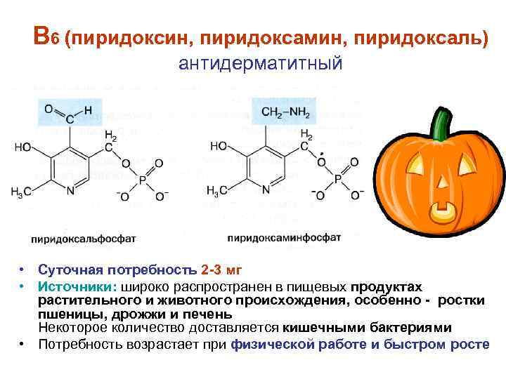 В 6 (пиридоксин, пиридоксамин, пиридоксаль) антидерматитный • Суточная потребность 2 -3 мг • Источники:
