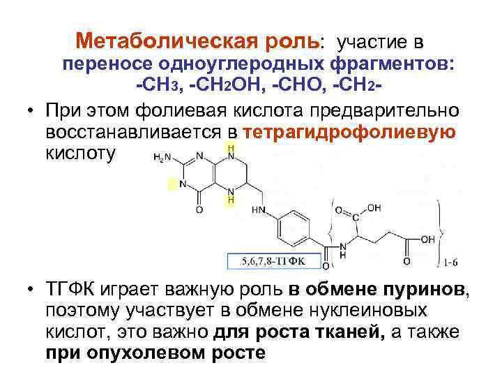 Метаболическая роль: участие в переносе одноуглеродных фрагментов: -СН 3, -СН 2 ОН, -СНО, -СН