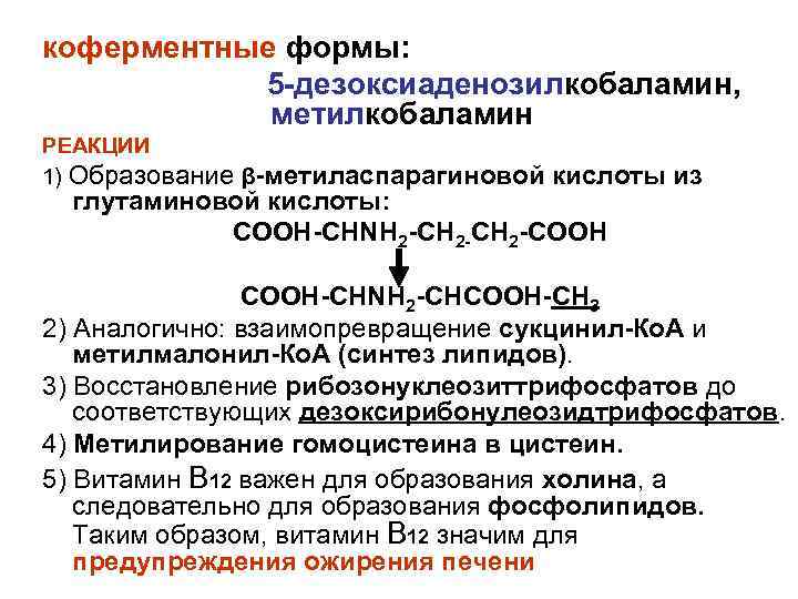 коферментные формы: 5 -дезоксиаденозилкобаламин, метилкобаламин РЕАКЦИИ 1) Образование β-метиласпарагиновой кислоты из глутаминовой кислоты: СООН-СНNH