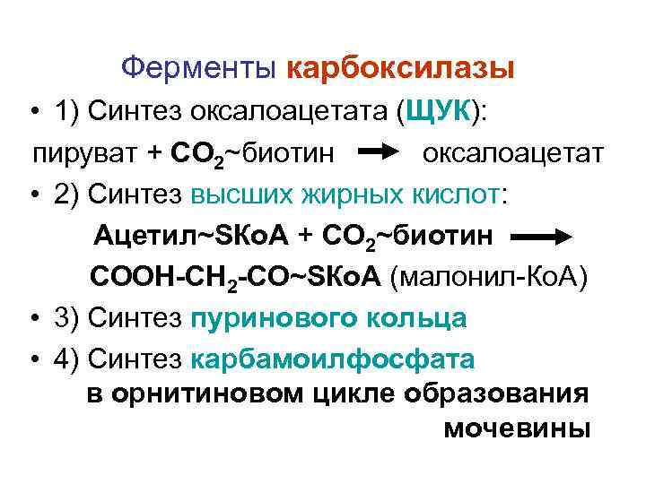 Ферменты карбоксилазы • 1) Синтез оксалоацетата (ЩУК): пируват + СО 2~биотин оксалоацетат • 2)