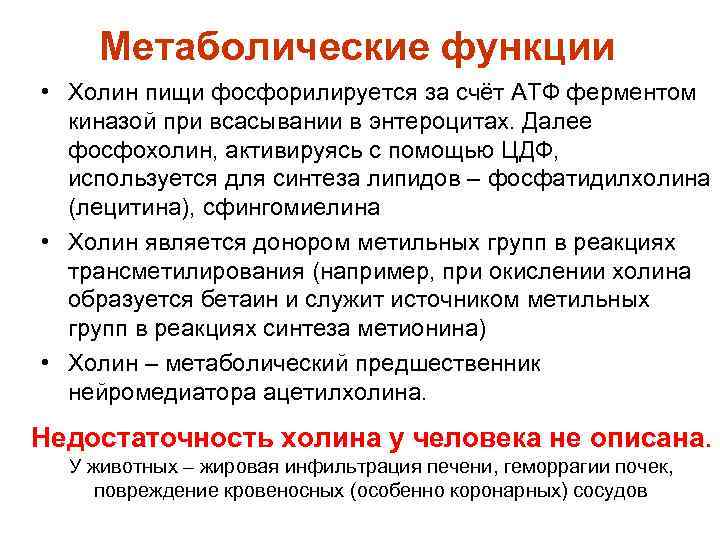 Метаболические функции • Холин пищи фосфорилируется за счёт АТФ ферментом киназой при всасывании в