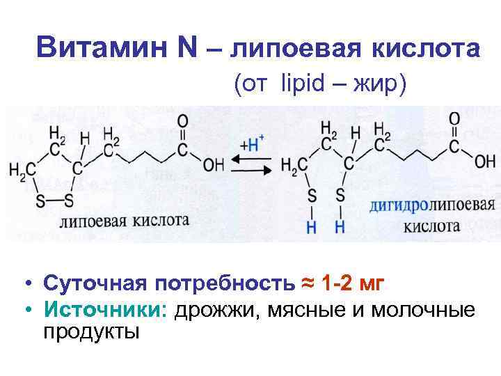 Витамин N – липоевая кислота (от lipid – жир) • Суточная потребность ≈ 1