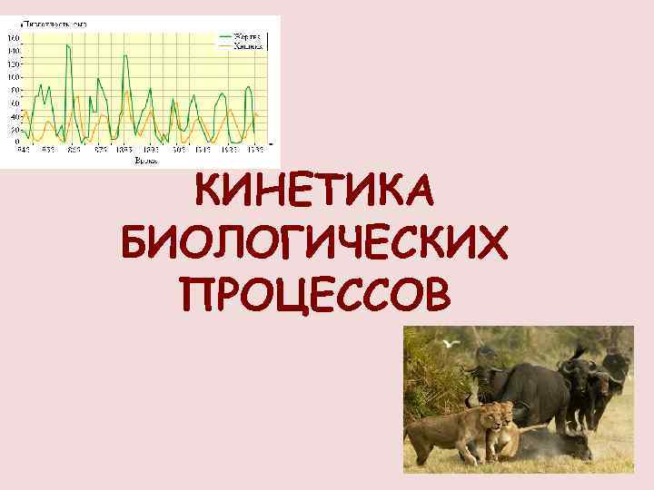 КИНЕТИКА БИОЛОГИЧЕСКИХ ПРОЦЕССОВ 