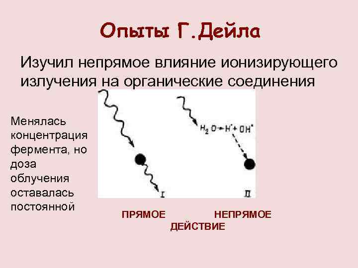 Опыты Г. Дейла Изучил непрямое влияние ионизирующего излучения на органические соединения Менялась концентрация фермента,