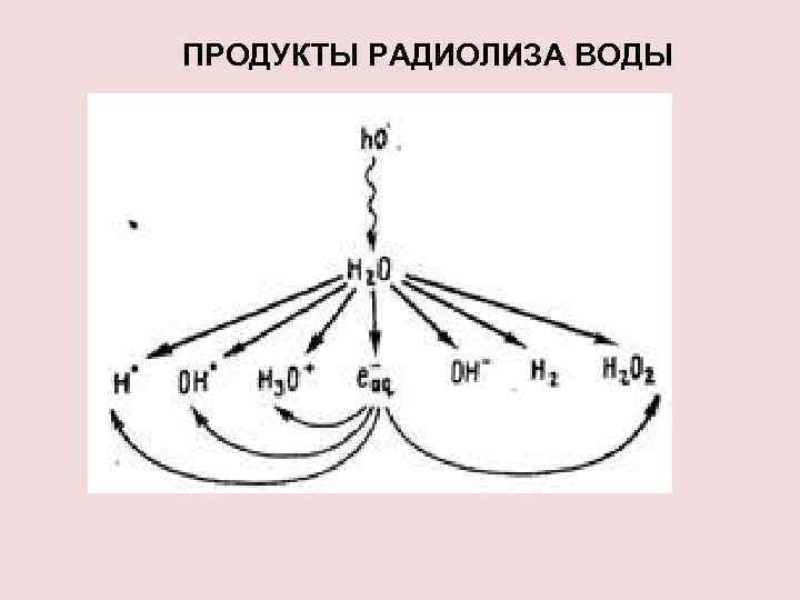 ПРОДУКТЫ РАДИОЛИЗА ВОДЫ 