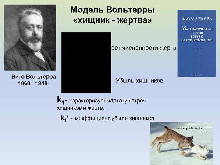 Модель Вольтерры «хищник - жертва» Рост численности жертв Вито Вольтерра 1860 - 1940, Убыль