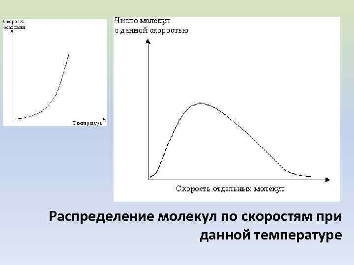 Распределение молекул по скоростям при данной температуре 