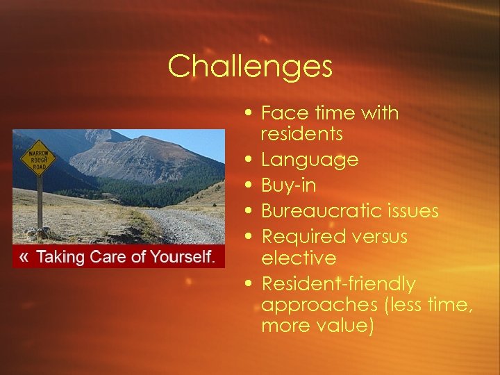 Challenges • Face time with residents • Language • Buy-in • Bureaucratic issues •