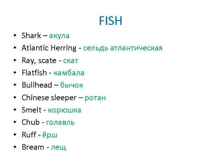 FISH • • • Shark – акула Atlantic Herring - сельдь атлантическая Ray, scate