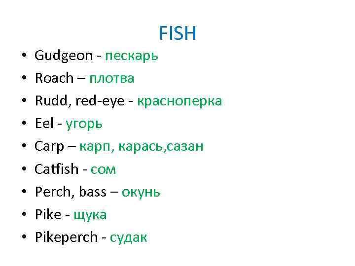  • • • FISH Gudgeon - пескарь Roach – плотва Rudd, red-eye -