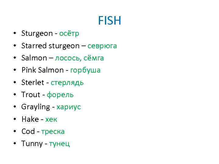  • • • FISH Sturgeon - осётр Starred sturgeon – севрюга Salmon –