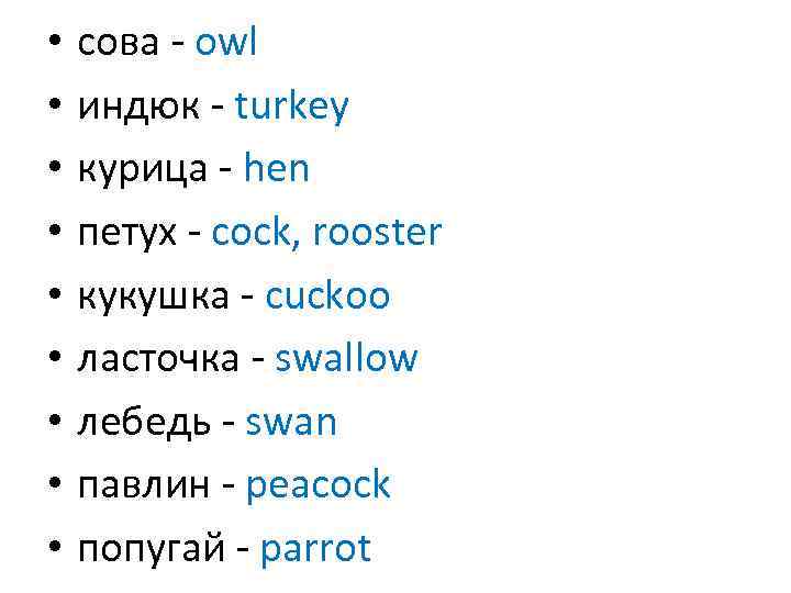  • • • сова - owl индюк - turkey курица - hen петух